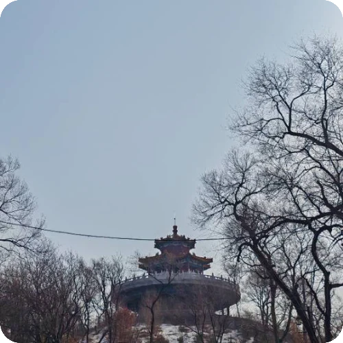 范琦