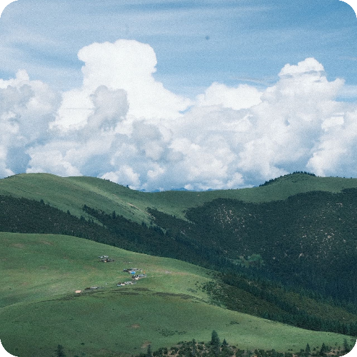 科普,郭婷医生头像照片