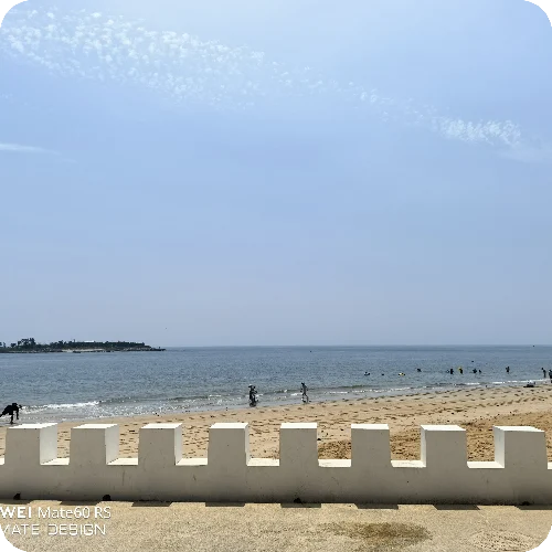 刘少飞