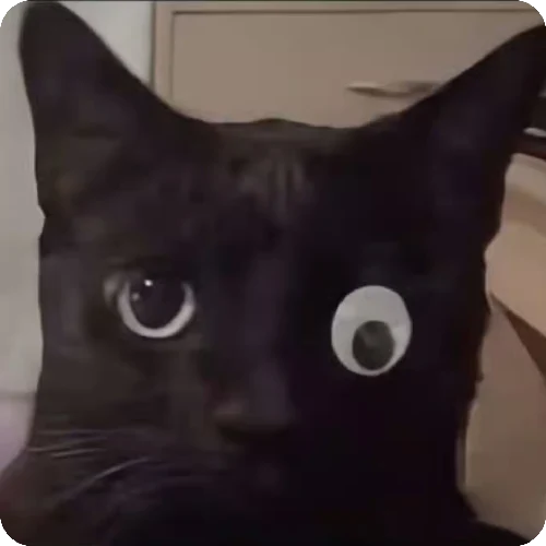 何慧阳