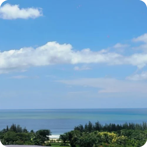 王柯炜