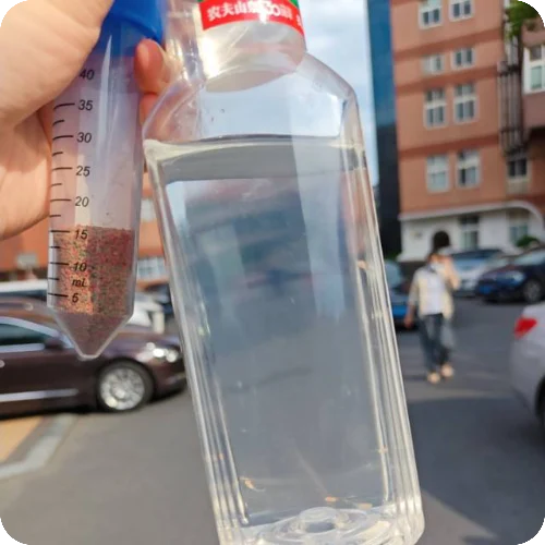 沈芸