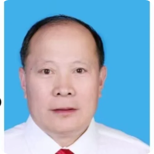 隋金才