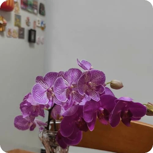 王利