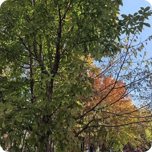 王伟