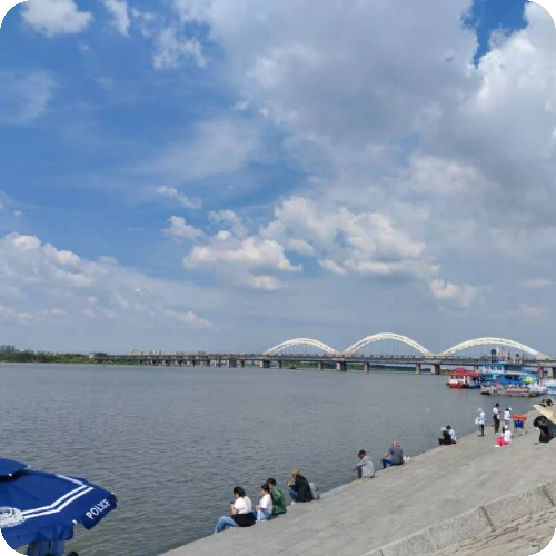 金丽
