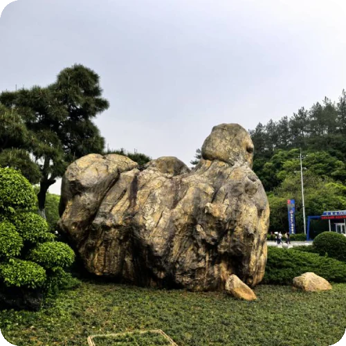 谢小琪